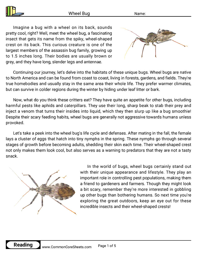 Reading Comprehension Insects Worksheets - Wheel Bug worksheet