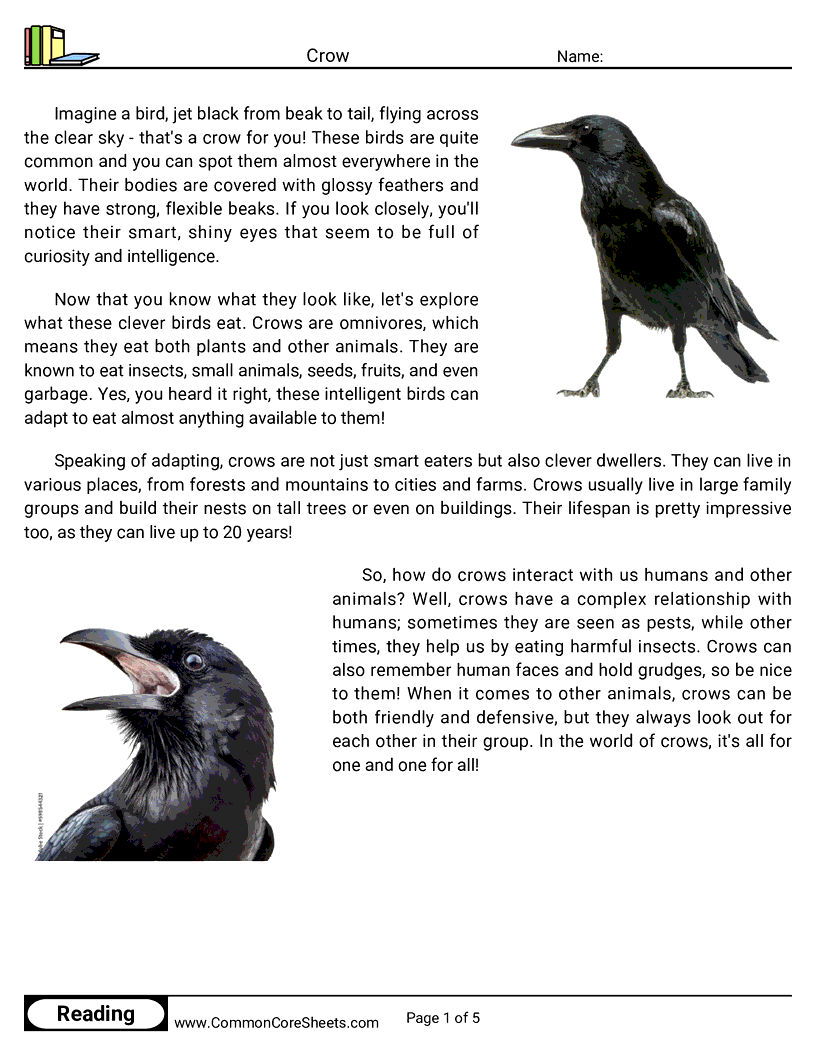 Reading Comprehension Birds Worksheets - crow worksheet