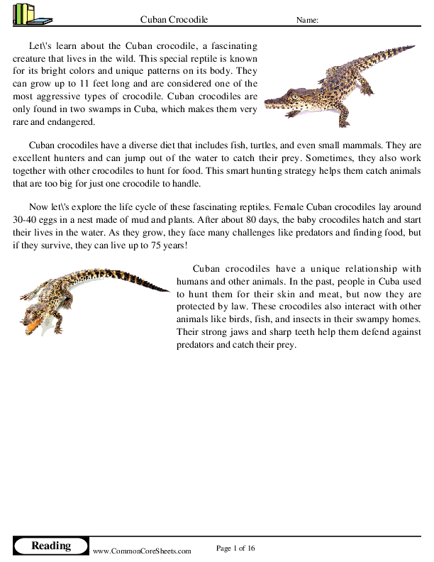  - cuban-crocodile worksheet